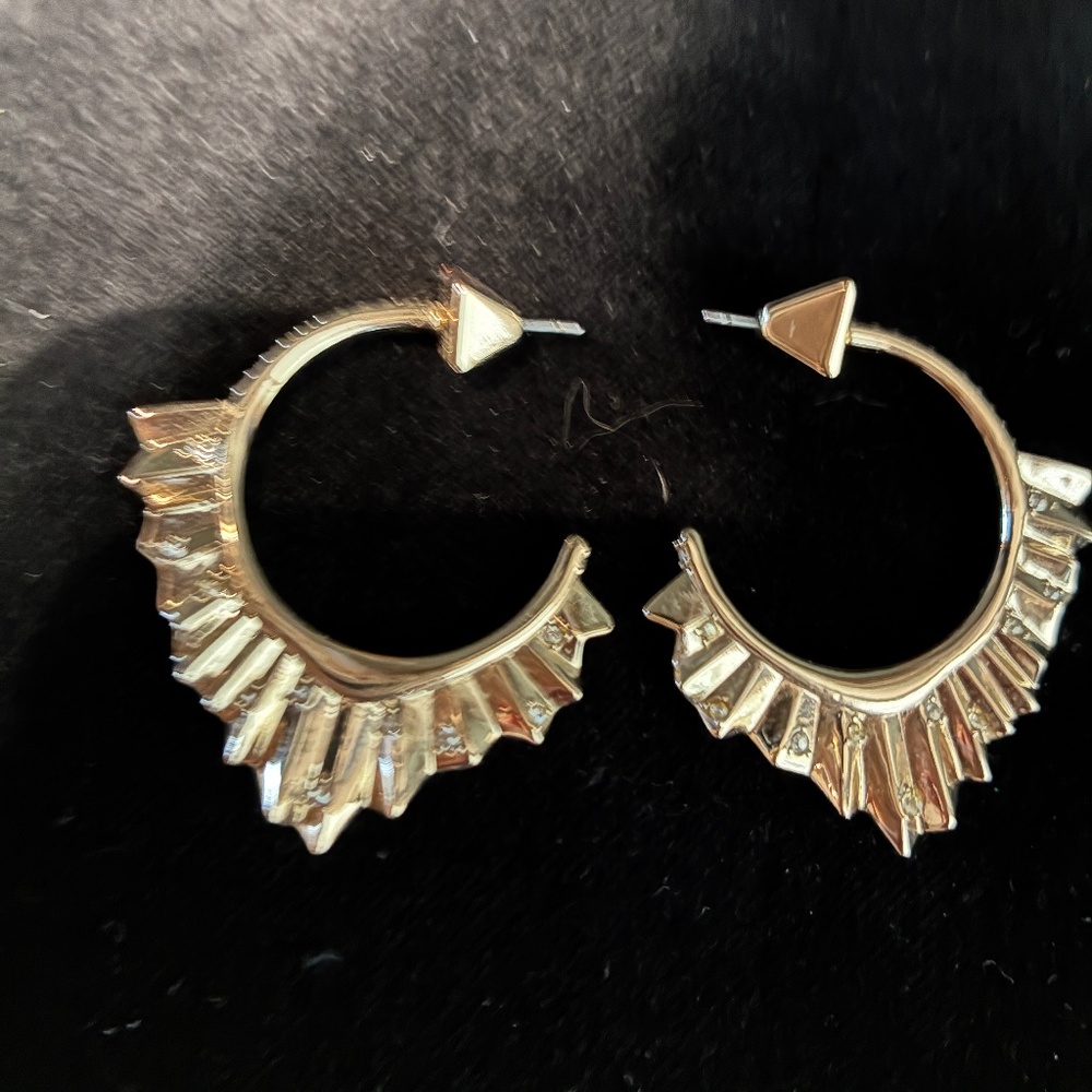 ALEXIS BITTAR earrings